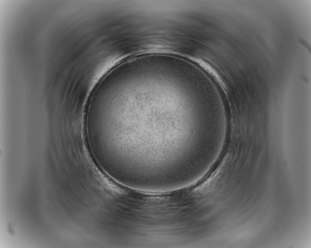 X0000096941333200802151206