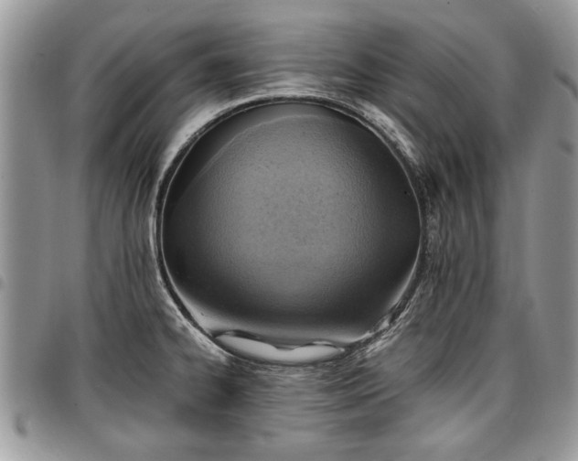 X0000096941334200802151206