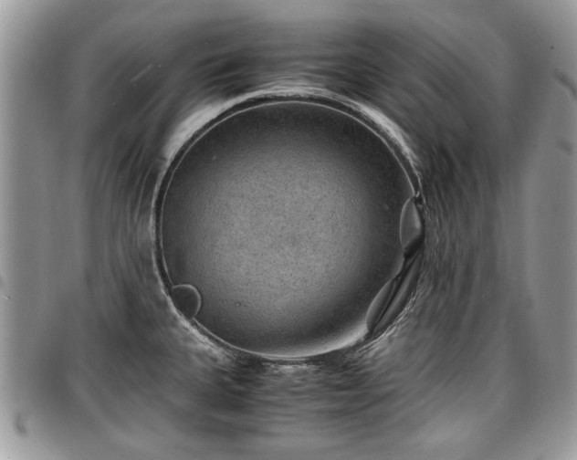 X0000096941335200802151206