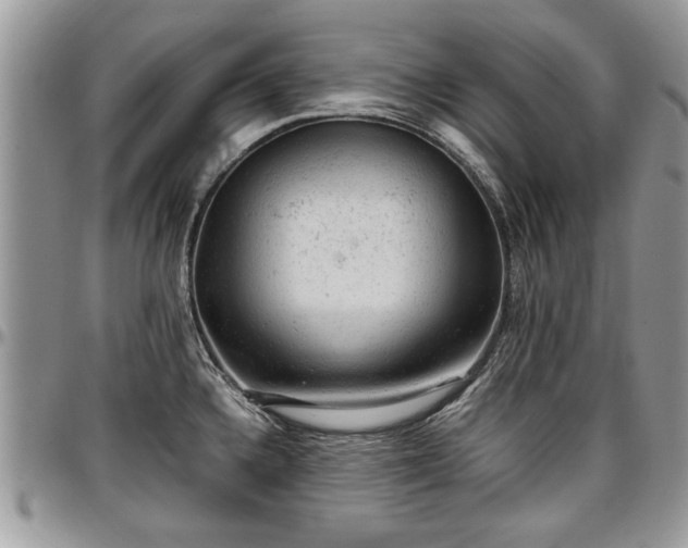 X0000096941336200802151206