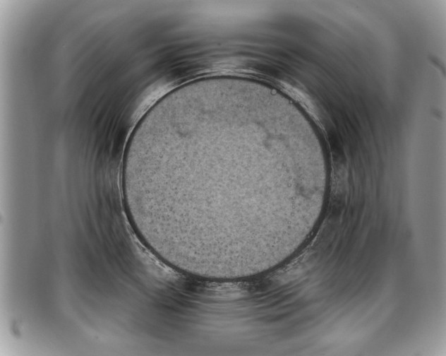 X0000096941338200802151206