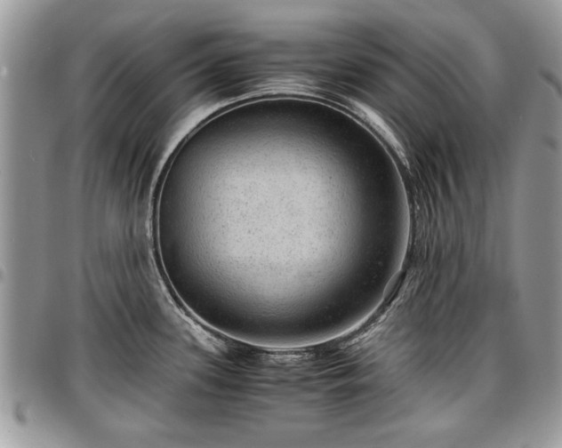 X0000096941339200802151206