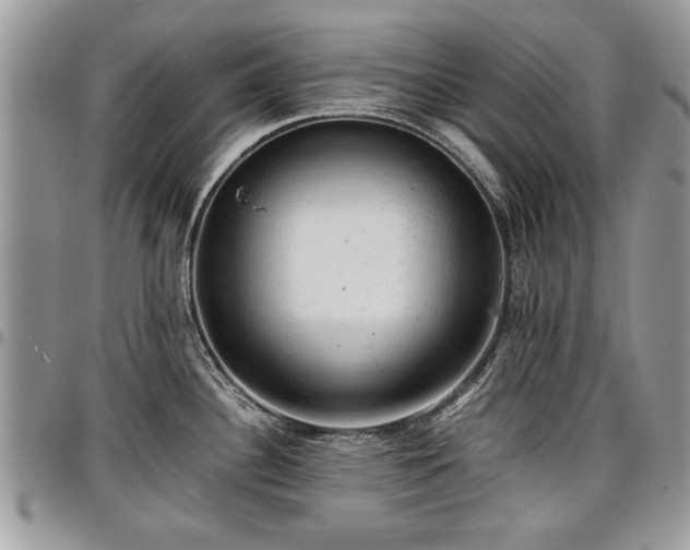 X0000096941340200802151206