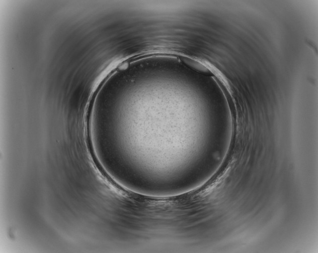 X0000096941341200802151206