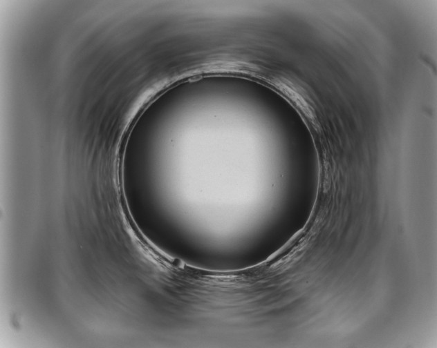 X0000096941342200802151206