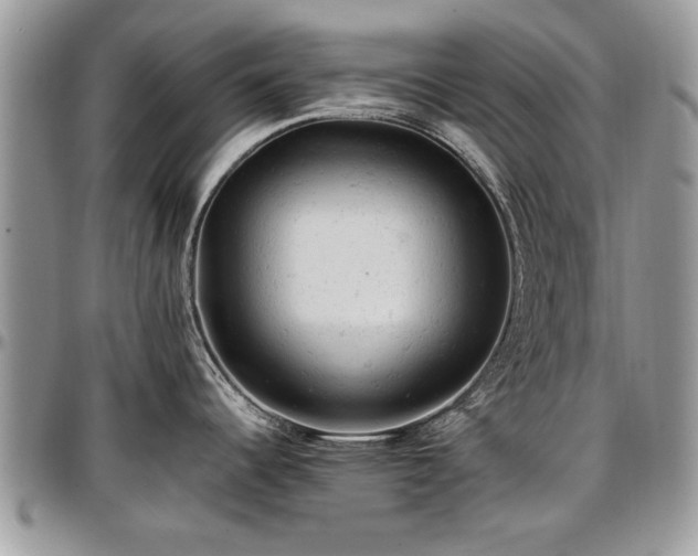 X0000096941344200802151206