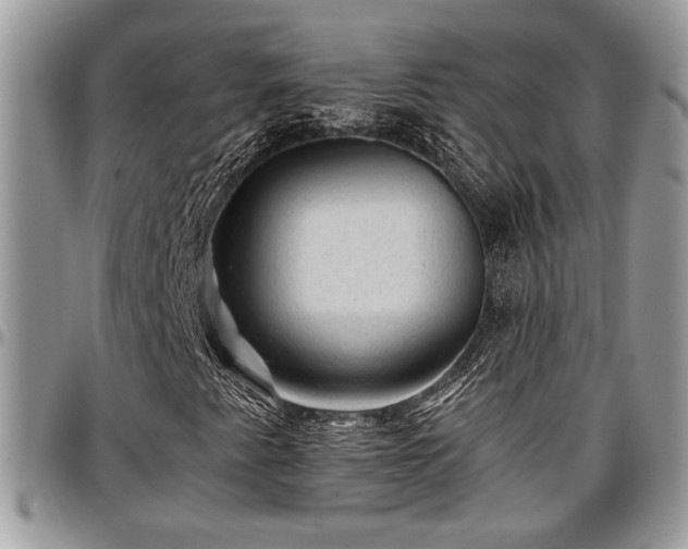 X0000096941345200802151205