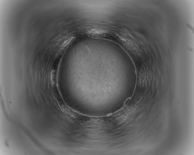 X0000096941346200802151205