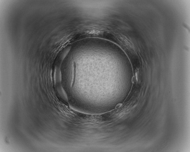 X0000096941347200802151205