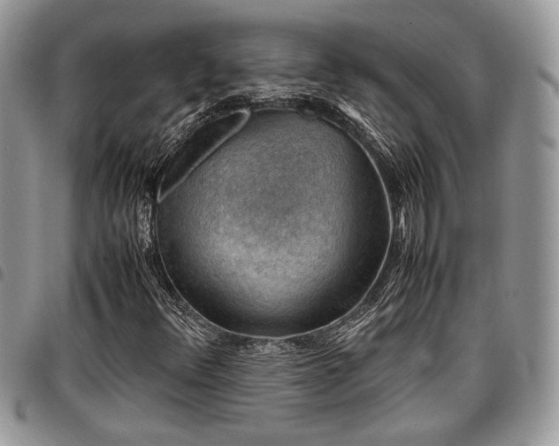 X0000096941348200802151205