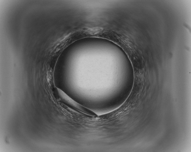 X0000096941349200802151205