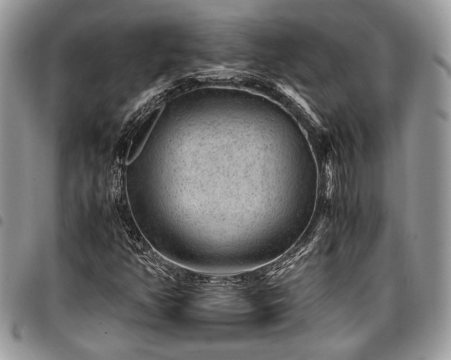 X0000096941350200802151205
