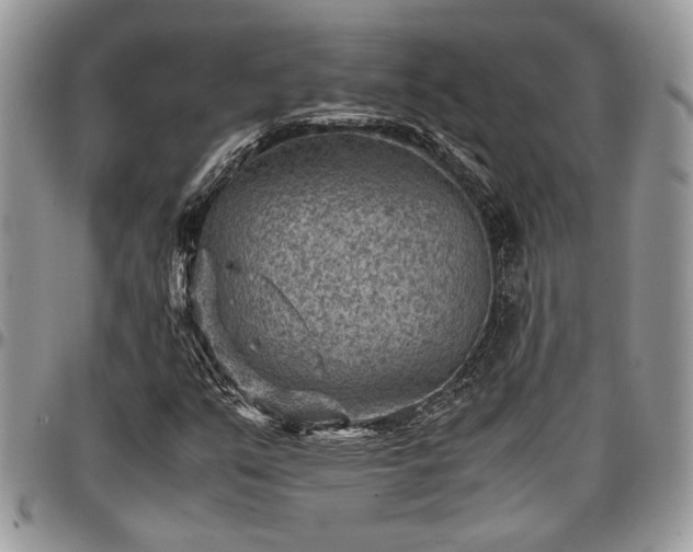 X0000096941351200802151205