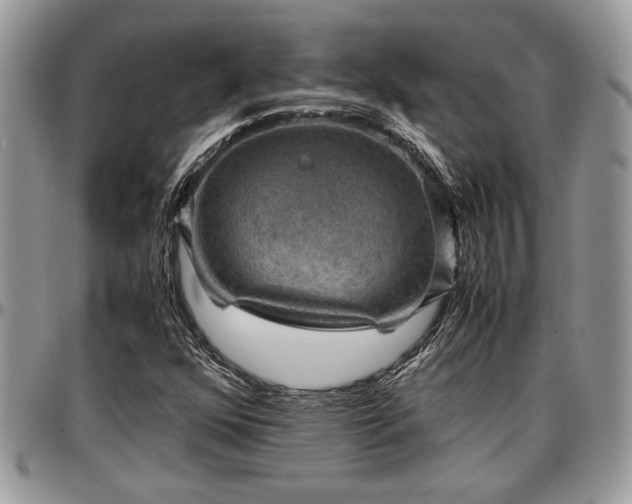 X0000096941352200802151205