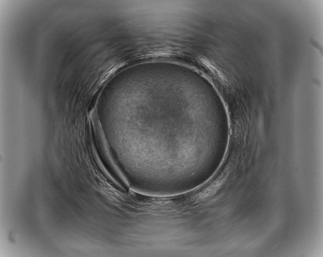 X0000096941353200802151205