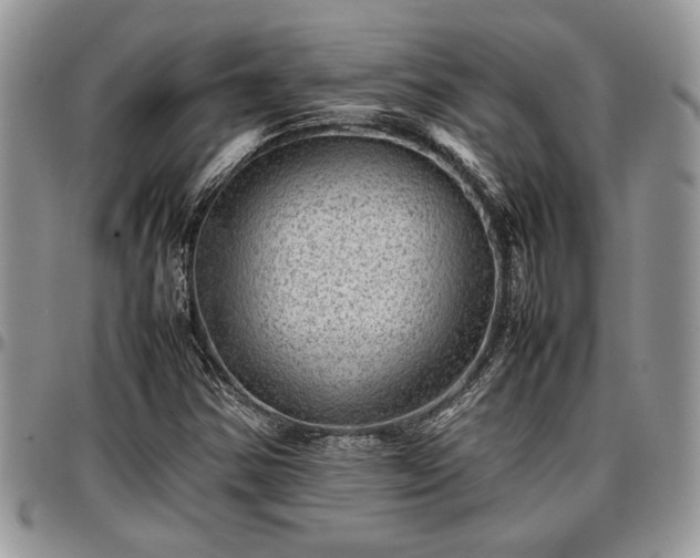 X0000096941354200802151205