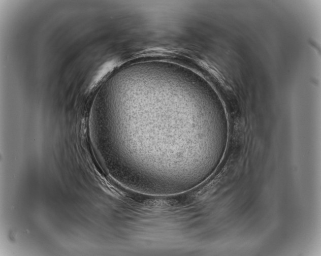 X0000096941355200802151205