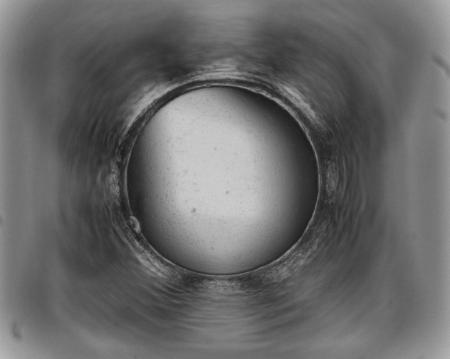 X0000096941356200802151205