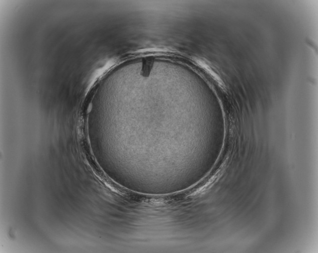 X0000096941357200802151205