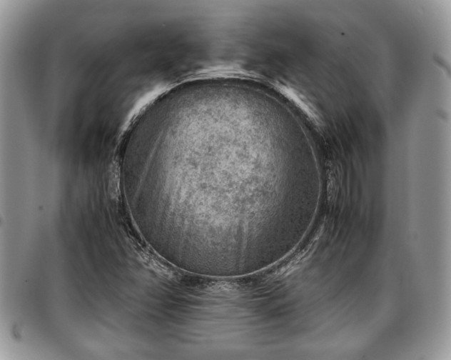 X0000096941358200802151205