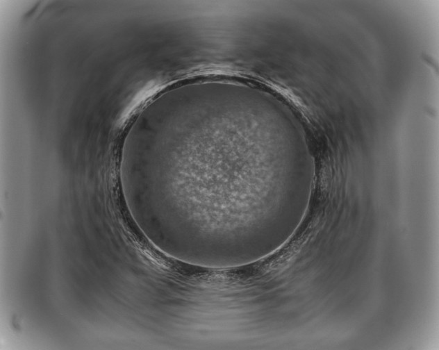 X0000096941359200802151205
