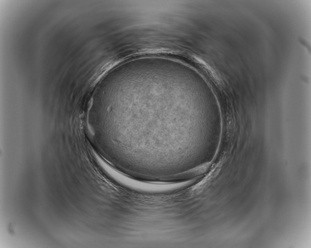 X0000096941361200802151205