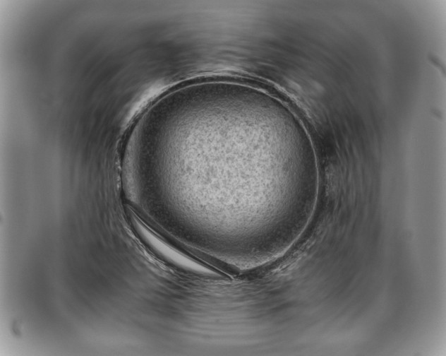 X0000096941363200802151205