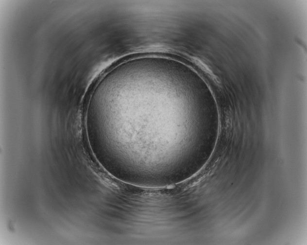 X0000096941364200802151205