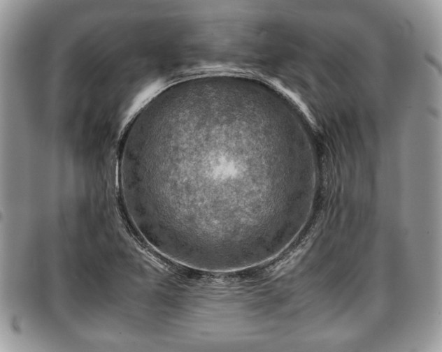 X0000096941365200802151205
