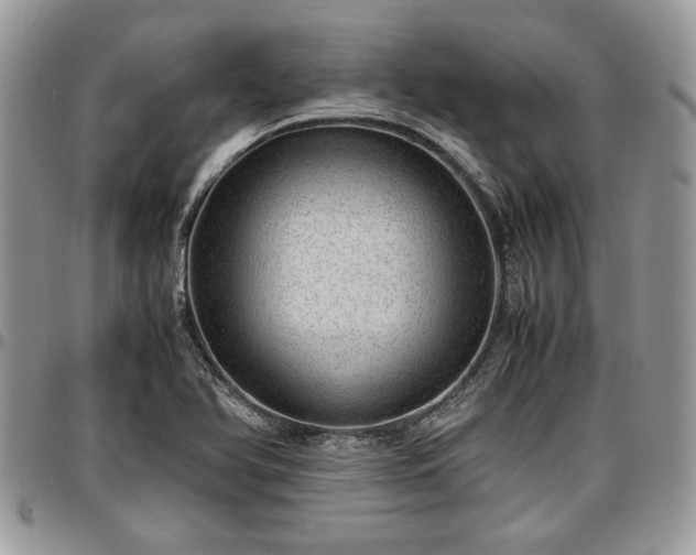 X0000096941366200802151205