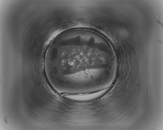 X0000096941367200802151205