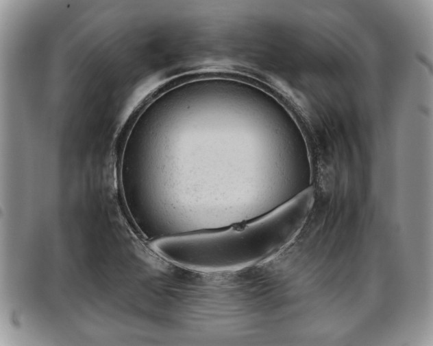 X0000096941368200802151205