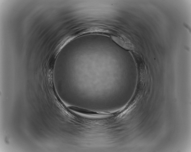 X0000096941369200802151205