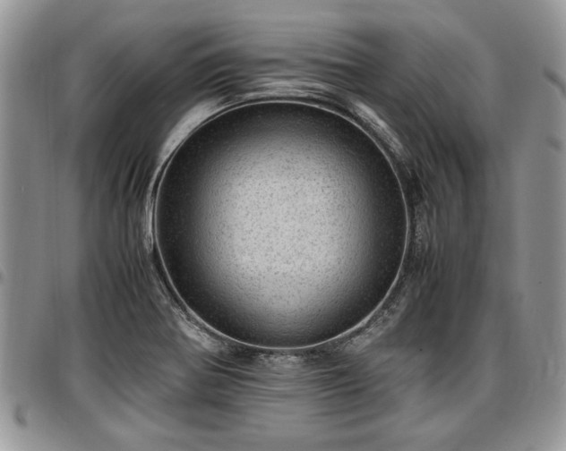 X0000096941370200802151205
