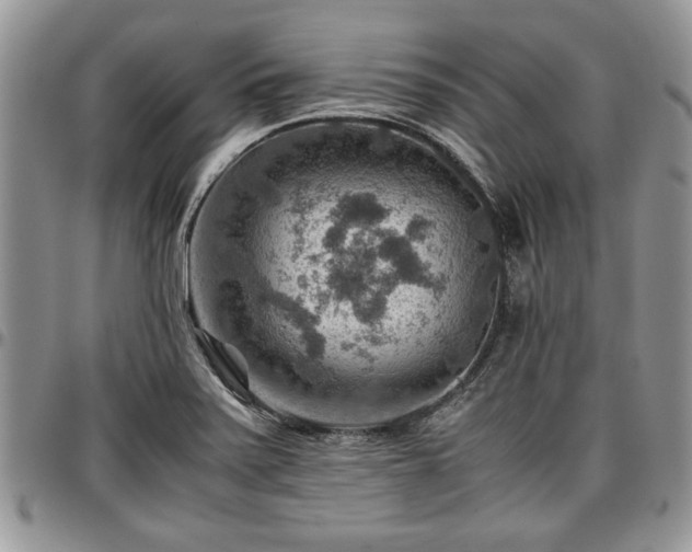 X0000096941371200802151205