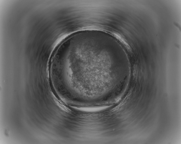 X0000096941372200802151205