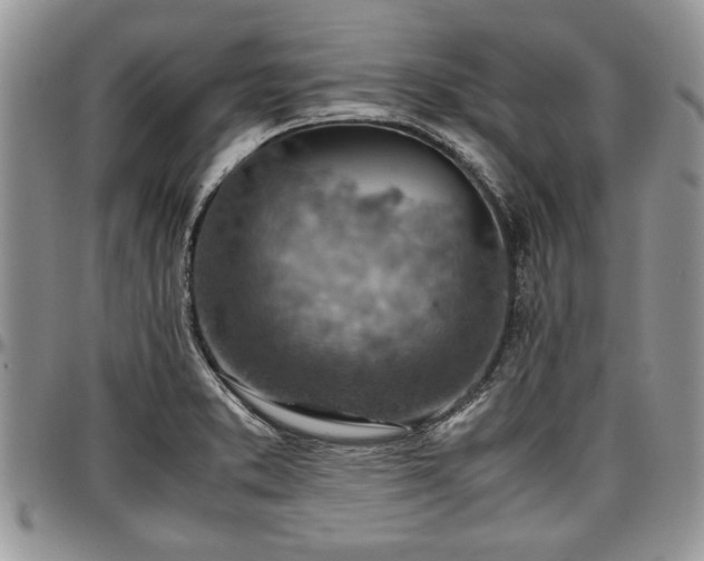 X0000096941373200802151205