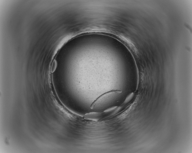 X0000096941374200802151205
