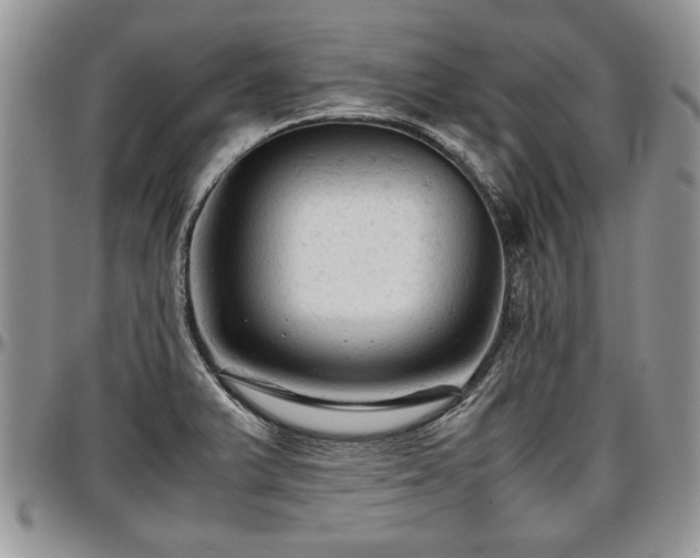 X0000096941375200802151205