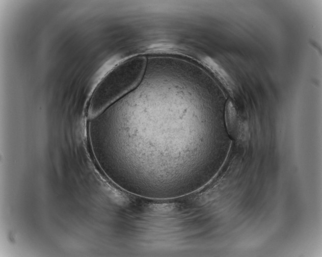 X0000096941376200802151205