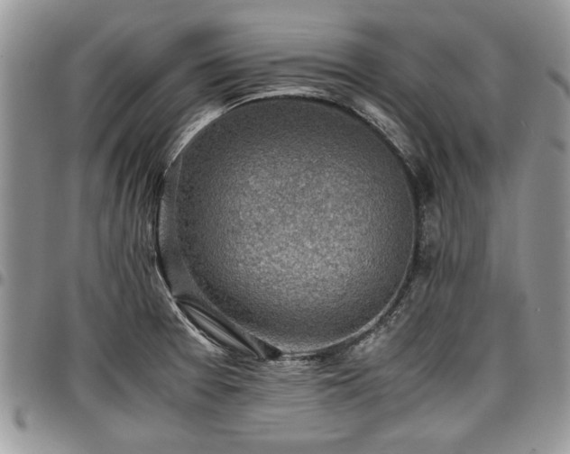 X0000096941377200802151205