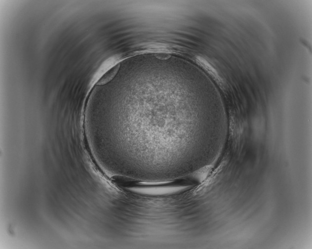 X0000096941378200802151205