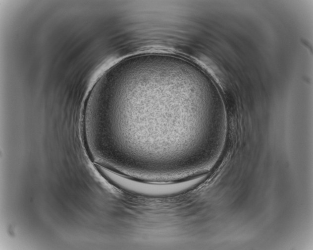 X0000096941379200802151205