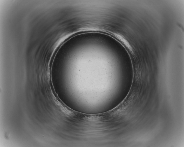 X0000096941380200802151205