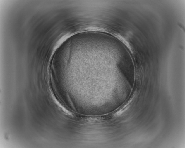 X0000096941381200802151205