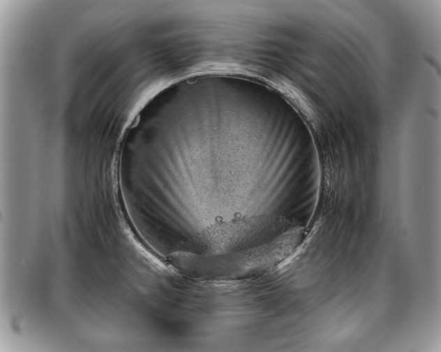 X0000096941382200802151205
