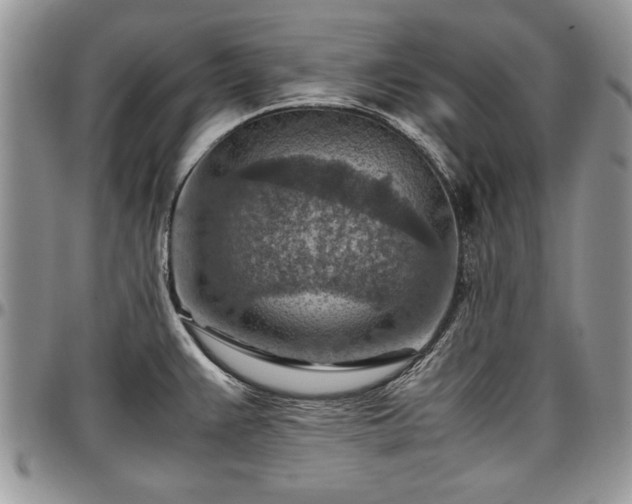X0000096941383200802151205