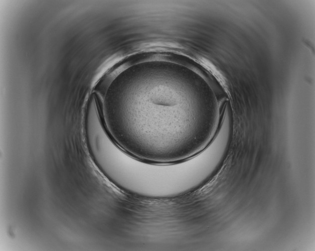 X0000096941384200802151205