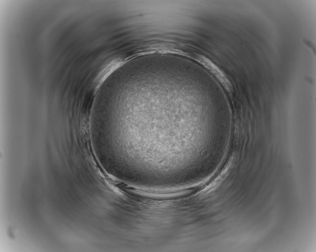 X0000096941385200802151205