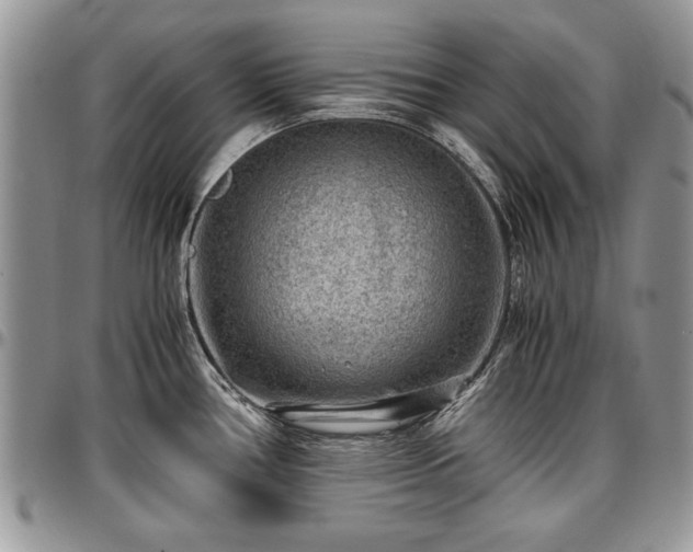 X0000096941386200802151205